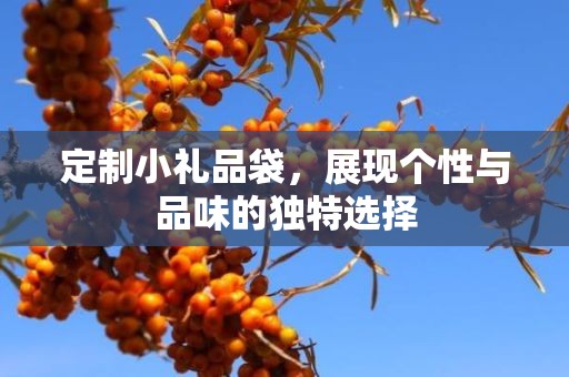 定制小礼品袋，展现个性与品味的独特选择